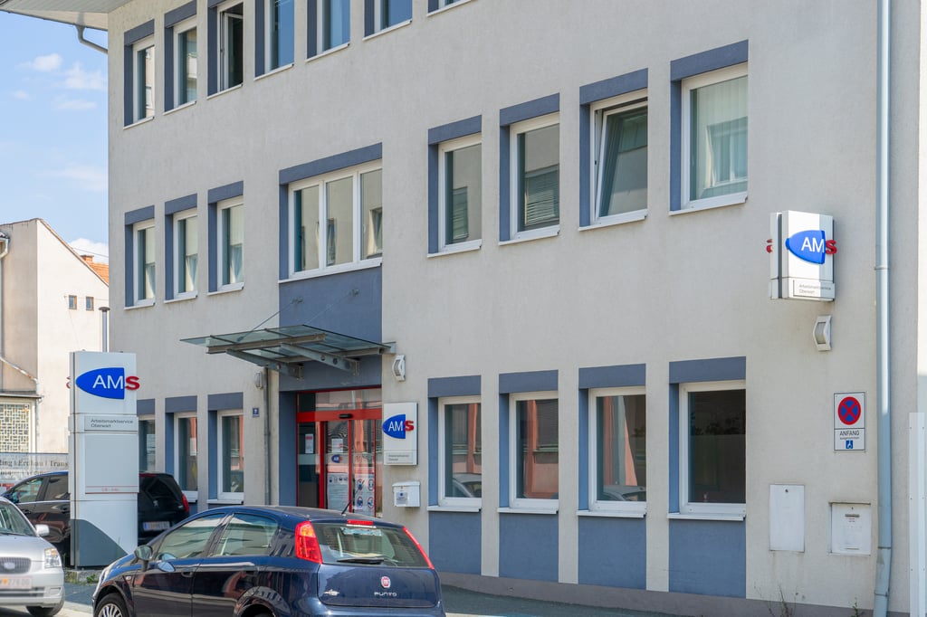 Während die Arbeitslosigkeit unter Österreichern seit 2019 deutlich gesunken ist, sind immer mehr Ausländer beim AMS gemeldet.