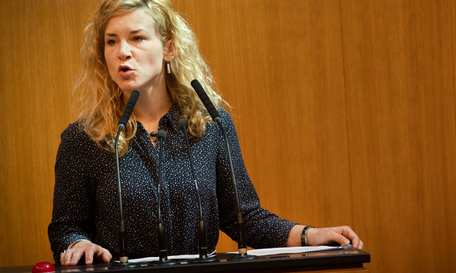Eva-Maria Holzleitner — Parlamentsdirektion/ Ulrike Wieser