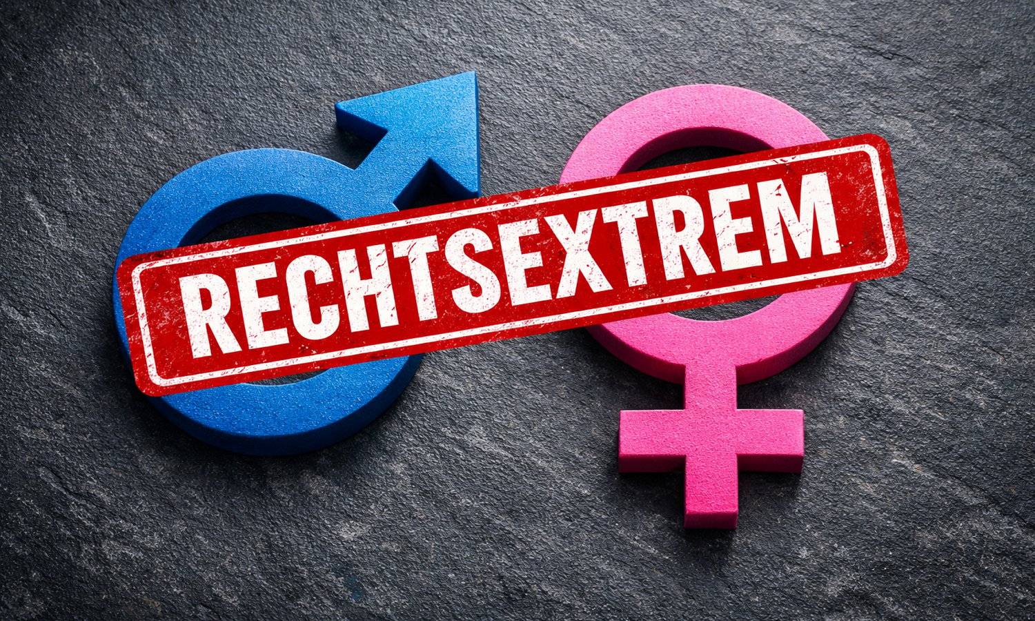 DÖW: Zwei Geschlechter sind bereits „rechtsextrem“ — KI-Generiert