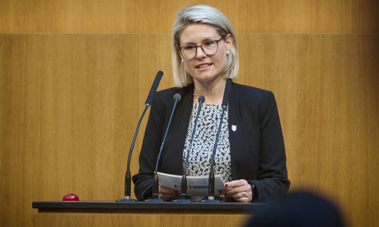Emotionale Abrechnung mit linker Kultur-Schickeria — Parlamentsdirektion/​Johannes Zinner