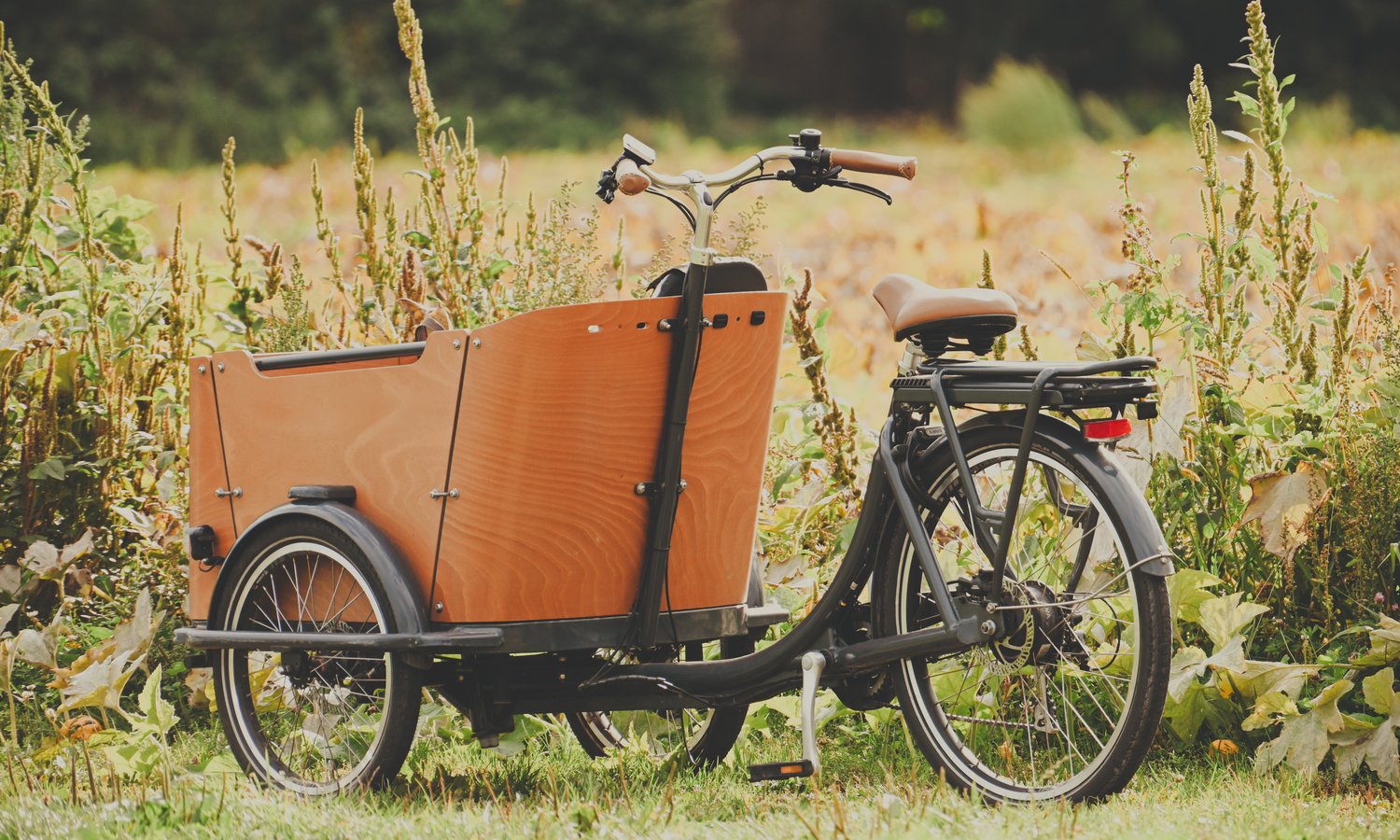 Lastenrad‑Parkplätze und Ladesäulen-Flut verordnet — Alexas Fotos / pixabay.com