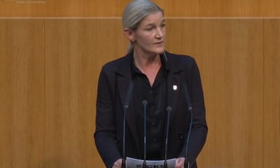 FPÖ will Kinderschutz ausbauen – doch nicht alle applaudieren — Screenshot Youtube ORF/FPÖ