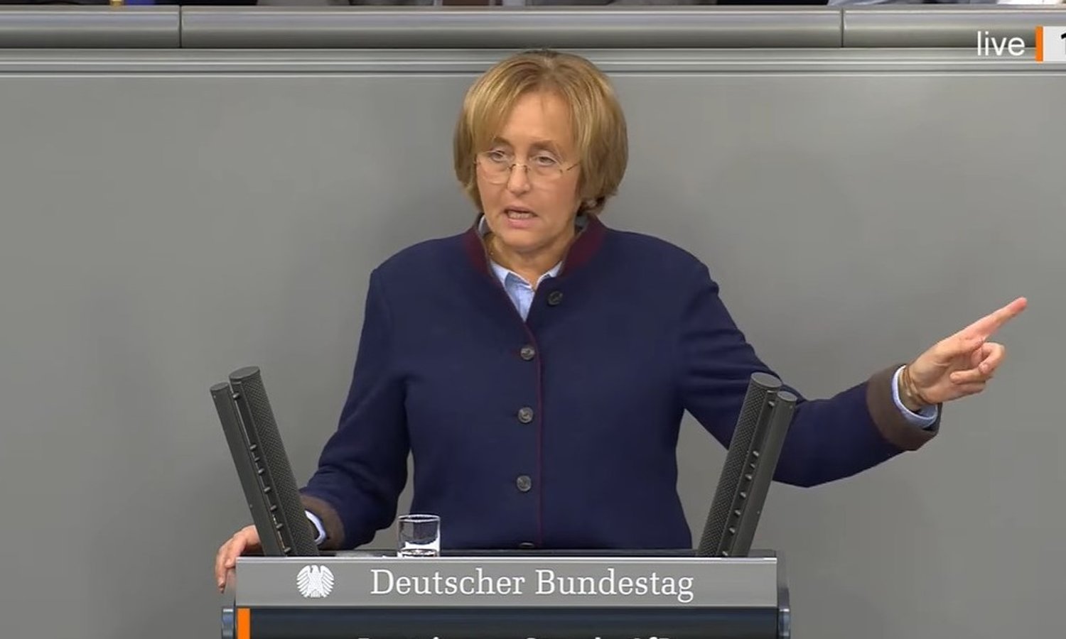 Beatrix von Storch wettert gegen Islamosozialismus — Screenshot Youtube/Deutscher Bundestag