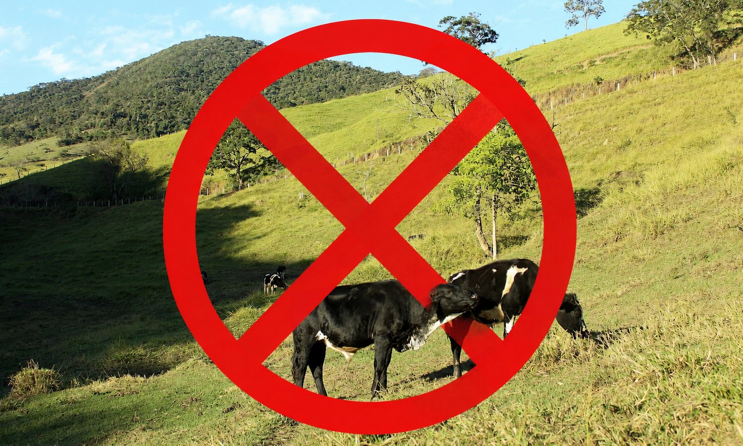 Fleisch aus Brasilien plötzlich vor dem EU-Aus — Mateus S. Figueiredo / wikimediacommons.org (CC BY-SA 3.0), bearbeitet