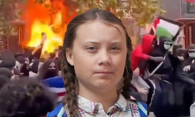 Greta Thunberg reiht sich in gewaltsame Krawalle in Frankreich ein — CC-BY-SA-4.0, Anders Hellberg/ Screenshot, Facebook Herbert Kickl (bearbeitet)