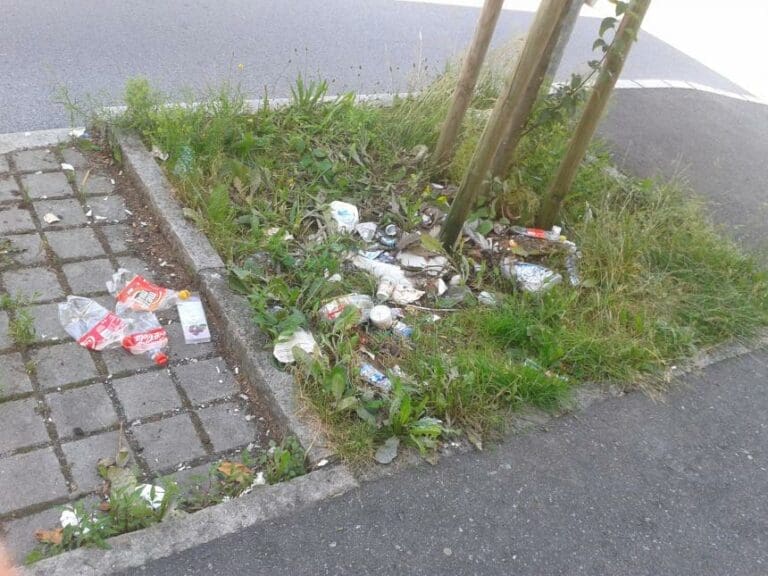 Jugend lernt "Gendern" statt Umweltbewusstsein — Bild: privat/zVg.