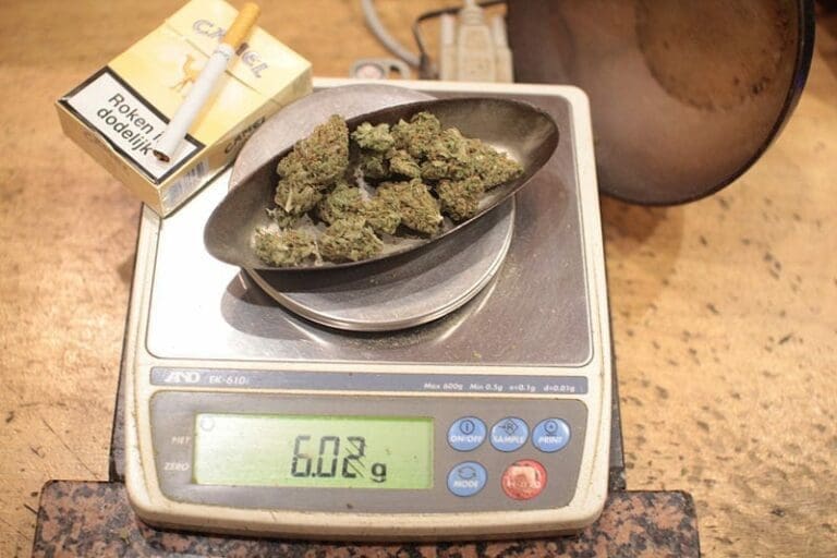 Google verbietet Marihuana-Apps — Bild: Milliped / Wikimedia (CC-BY-SA-3.0)