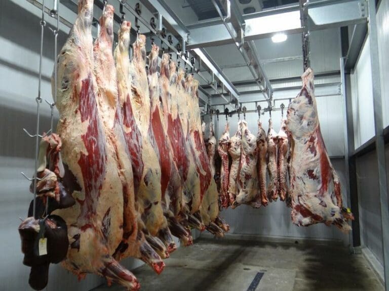 Austria Stops Illegal Backyard Slaughtering — Bild: BlackRiv / pixabay.com