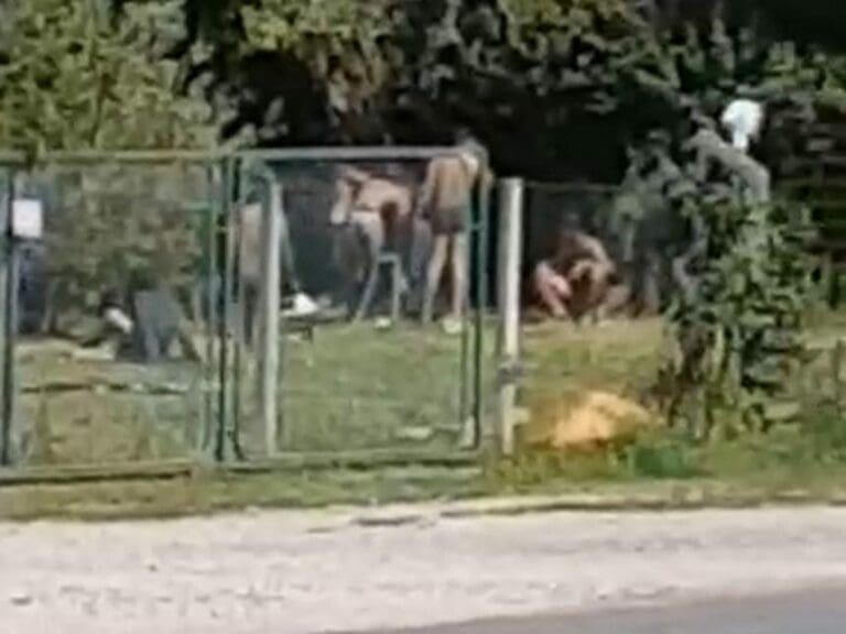 Migrants Build Camp And Poo In Cemetery — Bild: z.V.g
