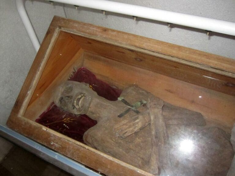 Mystery Over Priest Mummy Solved — Bild: z.V.g