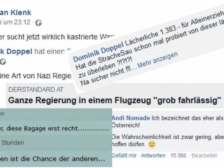 "StracheSau": Linke Medien am Tiefpunkt — Bild: Posting Collage