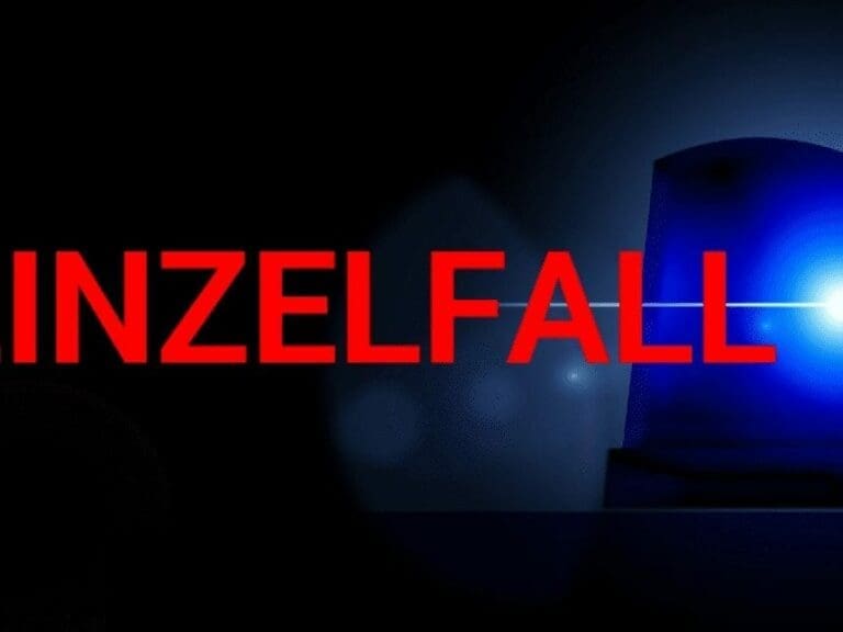 Jänner 2019: Die wichtigsten "Einzelfälle" — Bild: geralt/pixabay Montage: unzensuriert
