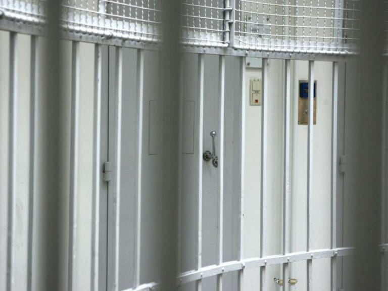 Vienna "Ice Cream Killer" Files For Divorce — Bild: unzensuriert.at