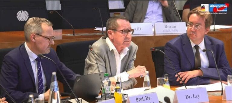UN-Migrationspakt: Experte warnt — Bild: Screenshot AfD-Fraktion Bundestag