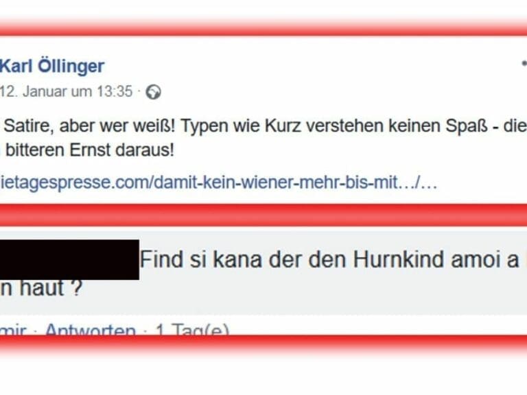 Hurenkind Kurz  in die Goschn haun! — Bild: screenshot Facebook