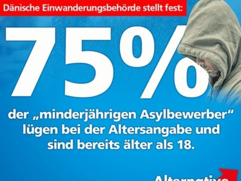 Minderjährige Migranten: Drei Viertel älter als 18 — Bild: Alternative für Deutschland AfD / facebook.com