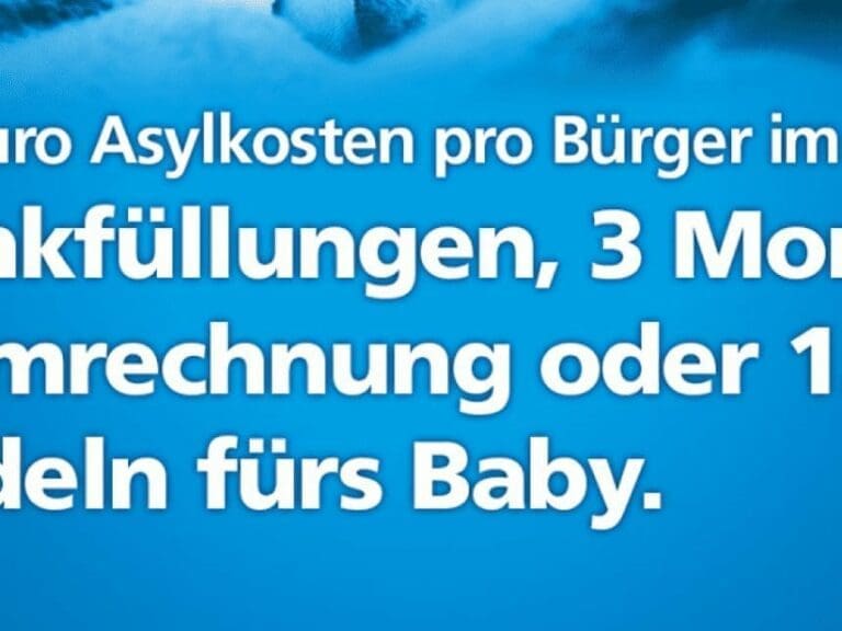 300.000 Migranten jährlich für Deutschland — Bild: Alternative für Deutschland AfD / facebook.com