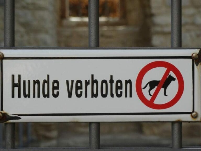 Planen Grüne ein Hundeverbot in Wien? — Bild: flickr/opposition24.de (CC BY-SA 2.0)