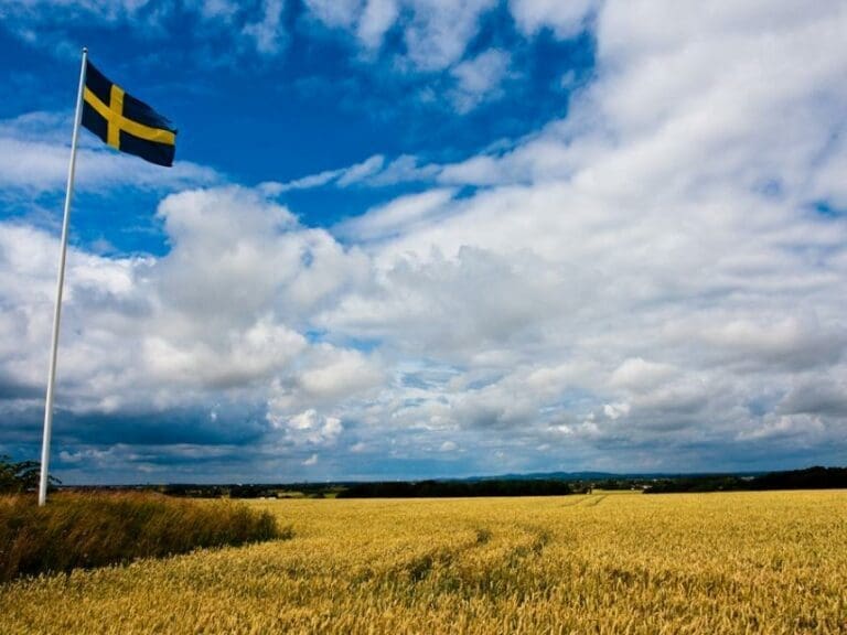 Schweden: Vorbereitung für Bürgerkrieg? — Bild: Hakan Dahlström / flickr (CC BY 2.0)
