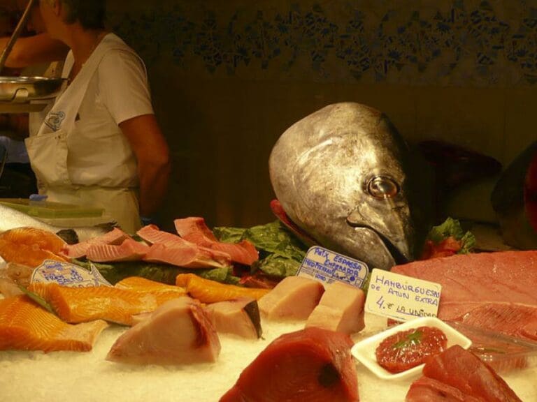 USA erlauben Gen-Lachs — Bild: Andy Mitchell/Wikimedia(CC BY-SA 2.0)