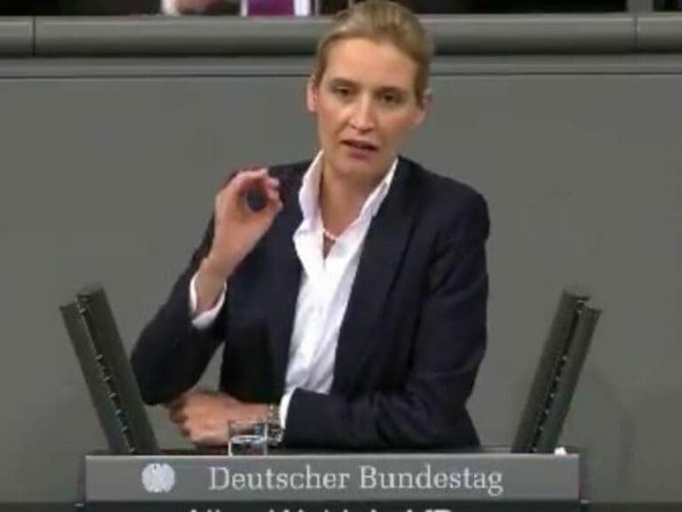 AfD fordert Rückkehr zu Rechtsstaatlichkeit — Bild: HSM2k2 / Screenshot youtube