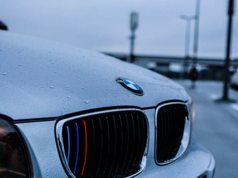 Sozialhilfeempfänger fahren mit BMW vor — Bild: StockSnap/pixabay (CC0 Creative Commons)