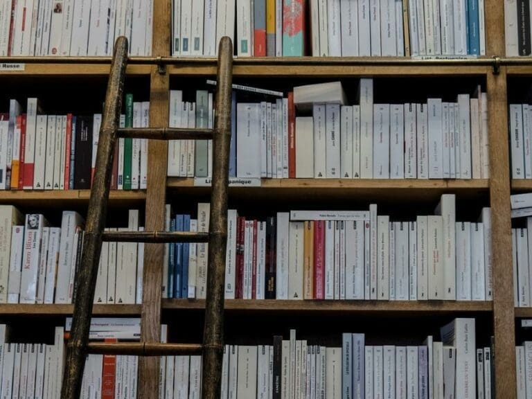 Lokaler Buchhandel gegen Amazon: LOBU — Bild: manolofranco / pixabay.com