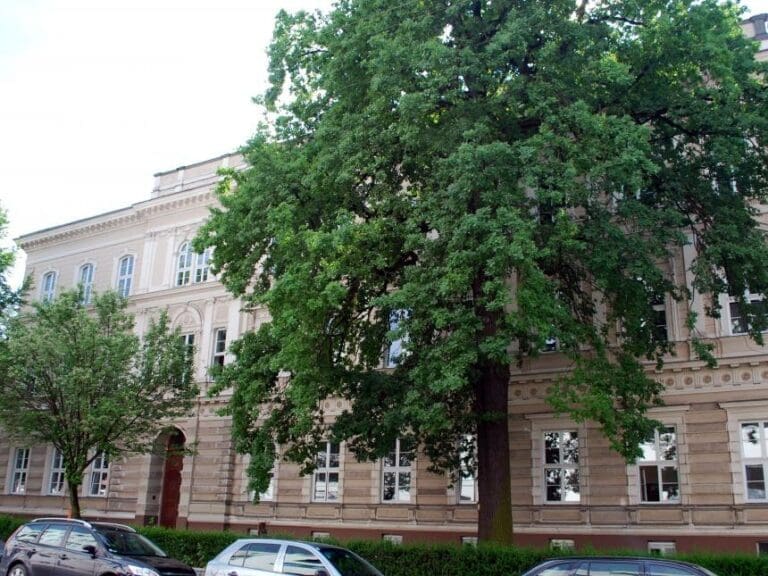 Grün-Funktionär flog mit Vortrag aus der Schule — Bild: Christian Wirth / Wikimedia (CC BY-SA 3.0)