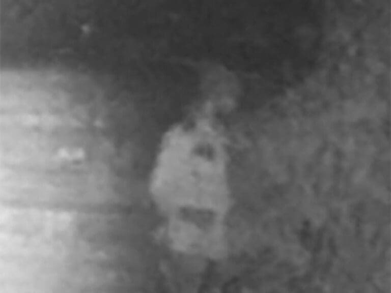 Bärtiger steinigt in Bochum Obdachlosen — Bild: Polizei Bochum