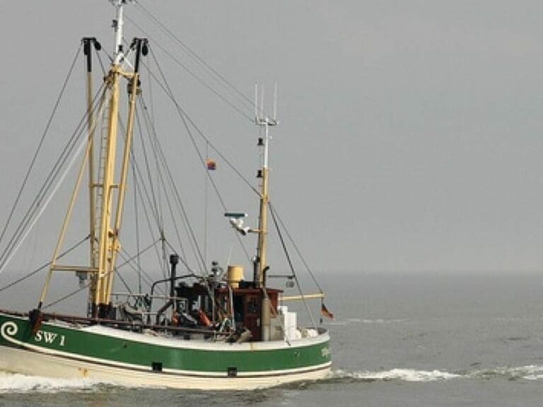 UNO-Mann schockt: Flüchtlinge bleiben hier — Bild: cuxclipper/flickr (CC BY 2.0)