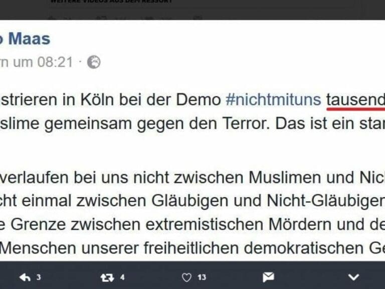 Moslem-Demo in Köln: Heiko Maas und Medien verbreiten Fake News — Bild: Screenshot / Twitter Mike Klengenburg? @petpanther0