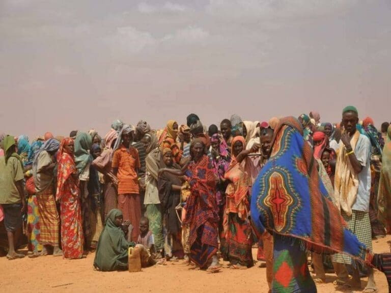 Zu viele Asylanten ohne Berufsqualifikation — Bild: DFID - UK Department for International Development / Wikimedia (CC-BY-2.0)