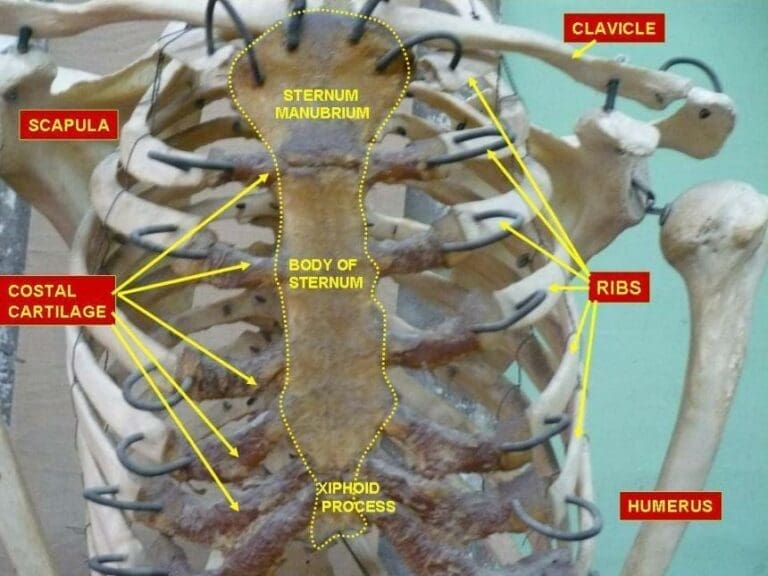 Neues Gutachten: Aliyev wurde ermordet — Bild: Anatomist90 / Wikimedia (CC-BY-SA-4.0)