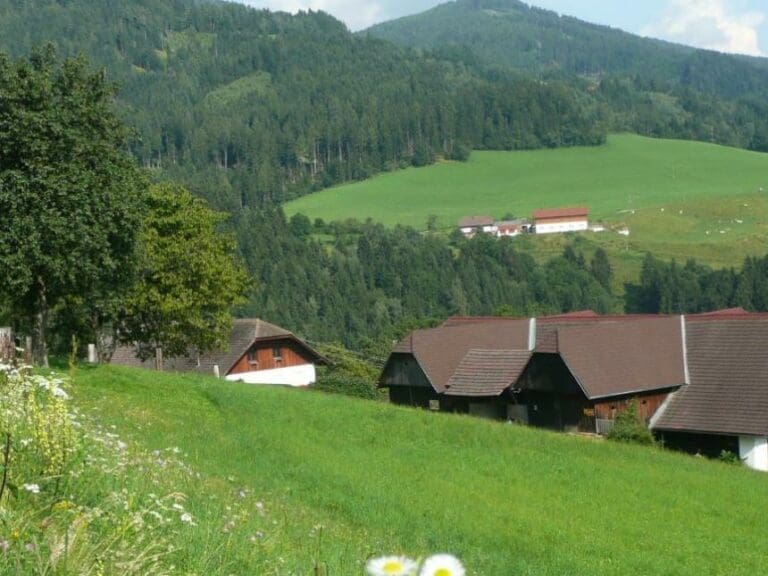 Kärnten: ÖVP-Bauern verlieren Absolute — Bild: Privat