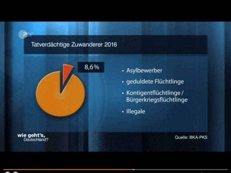 Polizeistatistik beweist: Asylbewerber sechsmal krimineller als Deutsche, bei schweren Verbrechen sogar fünfzehnmal — Bild: Bildschirmfoto zdf.de