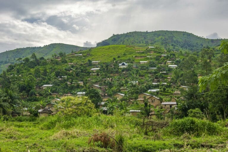 Afrika wird zum Viren-Hotspot — Kudra_Abdulaziz / Pixabay