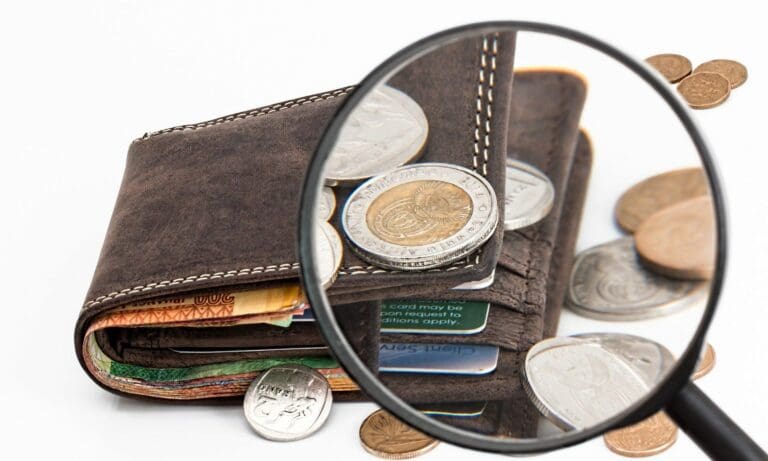 Geldtasche mit Lupe — stevepb / pixabay.com