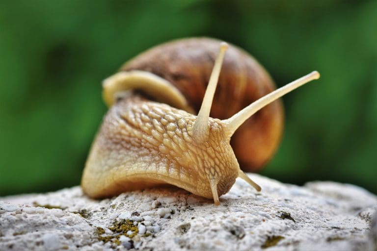 Vater über Meldeservice verärgert. — Bild von Ralph auf Pixabay