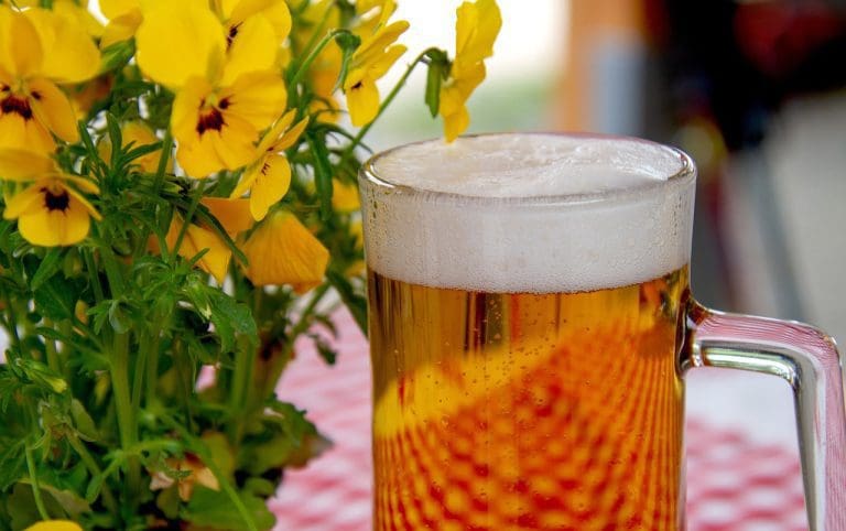 Spieleabend mit Biergenuss — pixabay/5598375