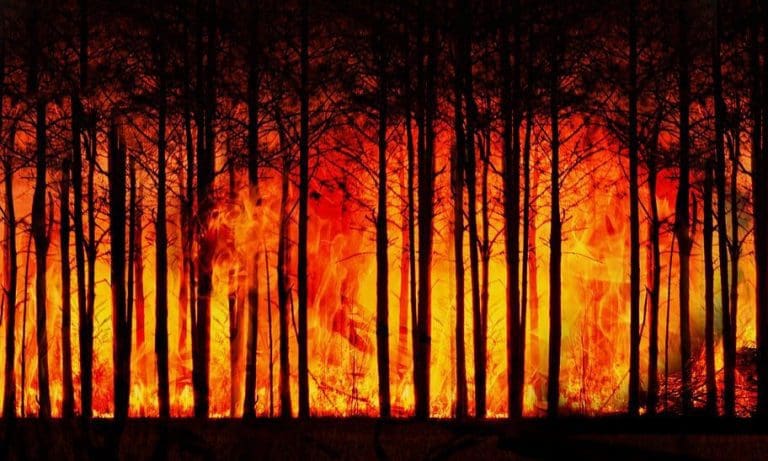Waldbrand — geralt / pixabay.com
