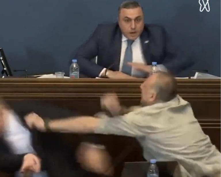 Parlament Georgien, Faustschlag — Screenshot / X