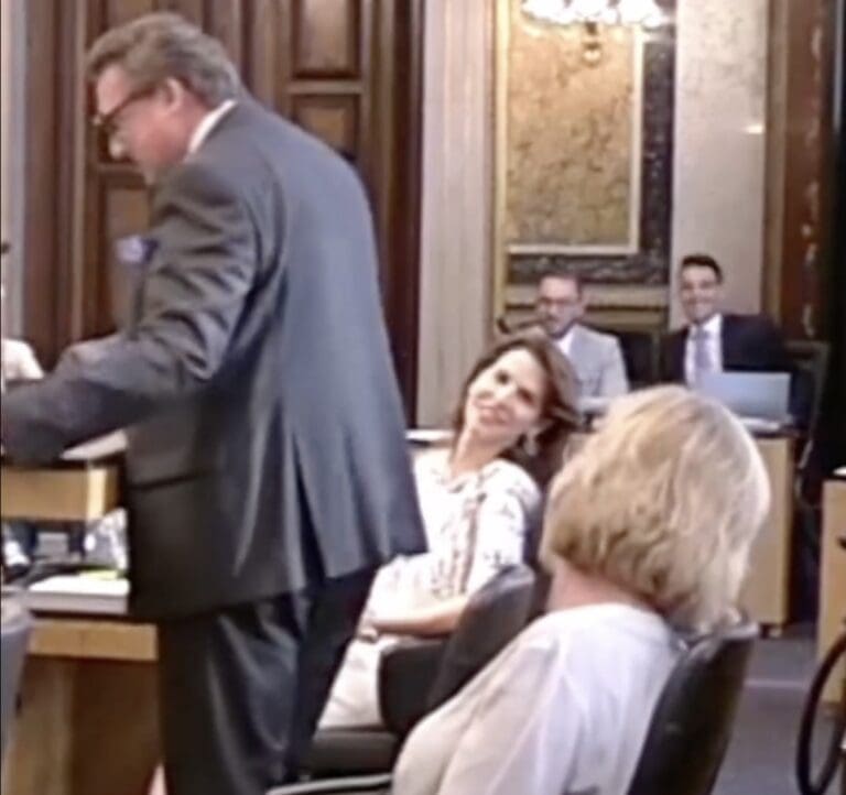 Karoline Edtstadler und Leonore Gewessler im Bundesrat — Screenshot / Facebook
