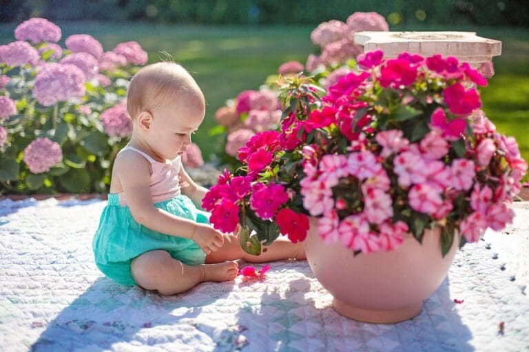 Ferien zu Hause — Bild von <a href="https://pixabay.com/de/users/jillwellington-334088/?utm_source=link-attribution&utm_medium=referral&utm_campaign=image&utm_content=7388027">Jill Wellington</a> auf <a href="https://pixabay.com/de//?utm_source=link-attribution&utm_medium=referral&utm_campaign=image&utm_content=7388027">Pixabay</a>