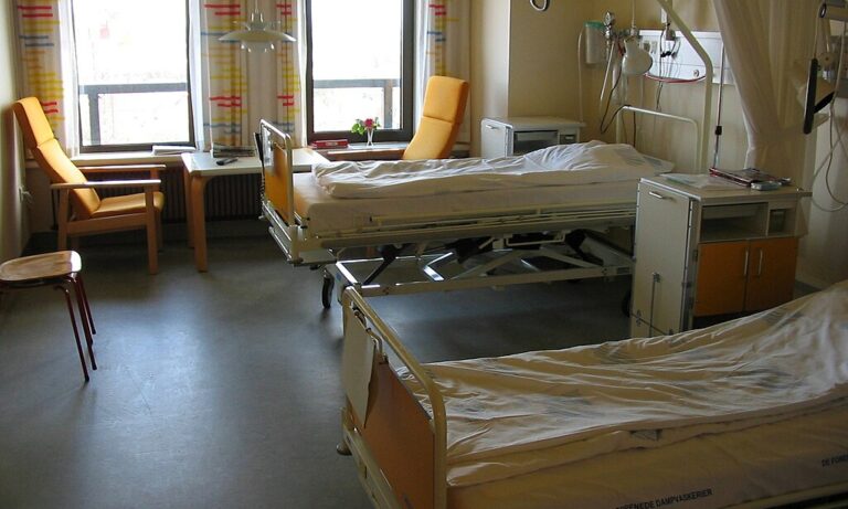 Neuer Strukturplan bedroht Kärntner Krankenhäuser — Tomasz Sienicki / wikimedia (CC0)